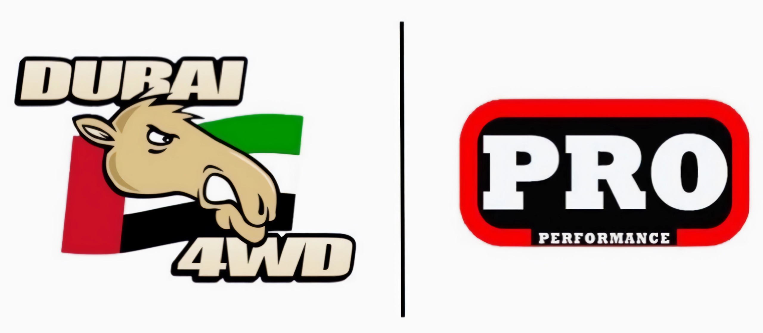 Dubai 4WD Auto Parts Logo